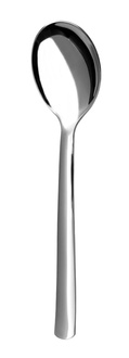 Appetizer/dessert spoon