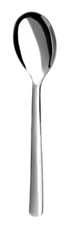 Salad Serving Spoon