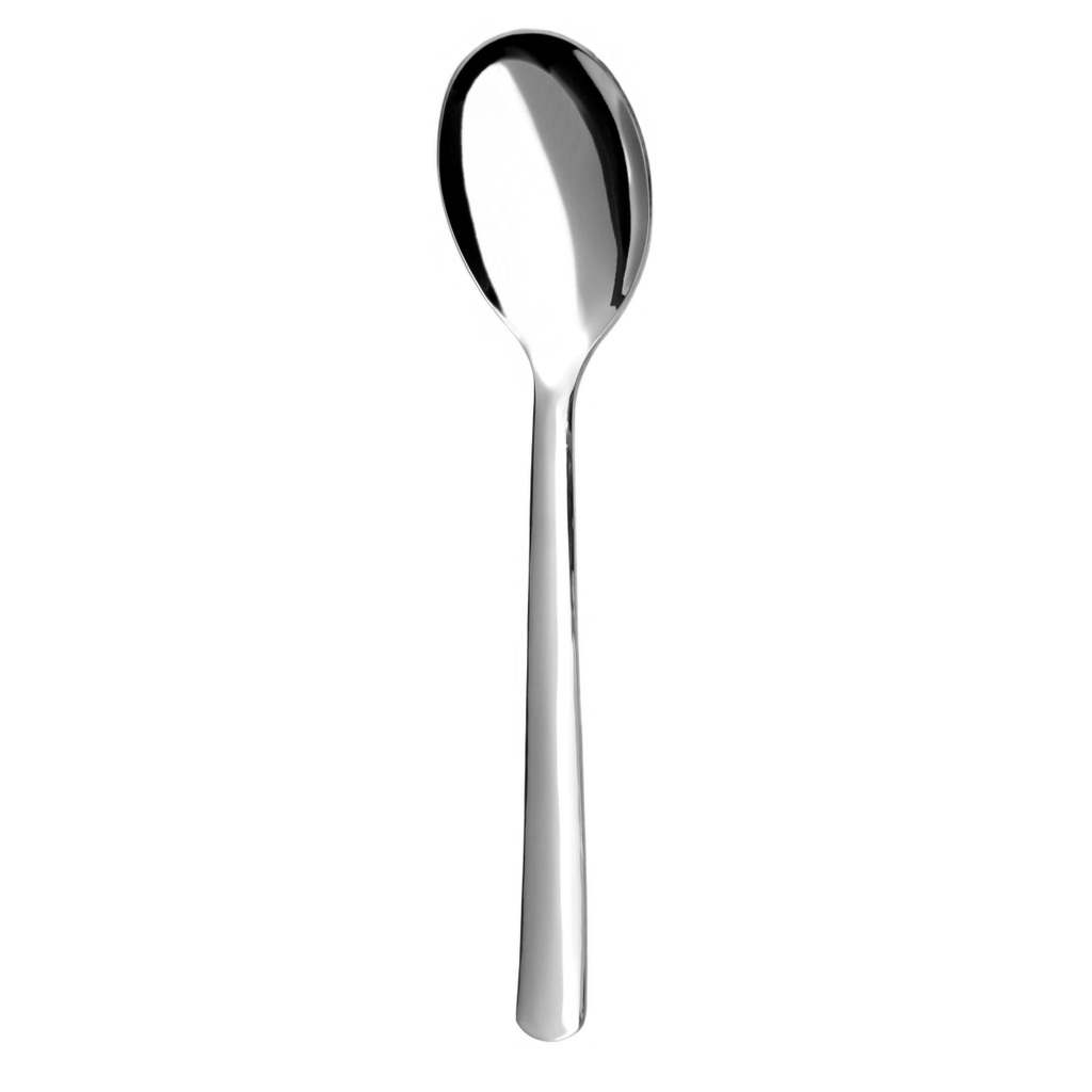 PROGRES serving spoon