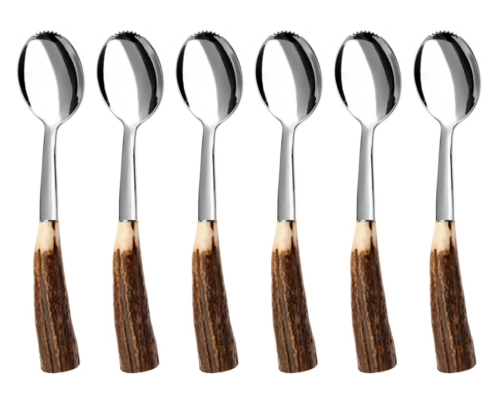 HUBERT grapefruit / kiwi spoon 6-piece - prestige packaging